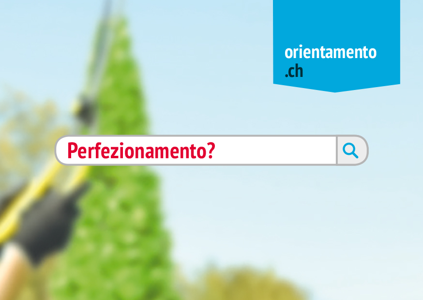 perfezionamento
